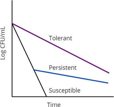 Are all antibiotic persisters created equal?